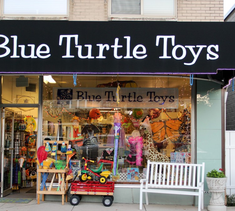 Blue Turtle Toy Store (Dayton,&nbspOH)